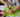 10 Simple First Kitchen Tasks Every Child Can Master